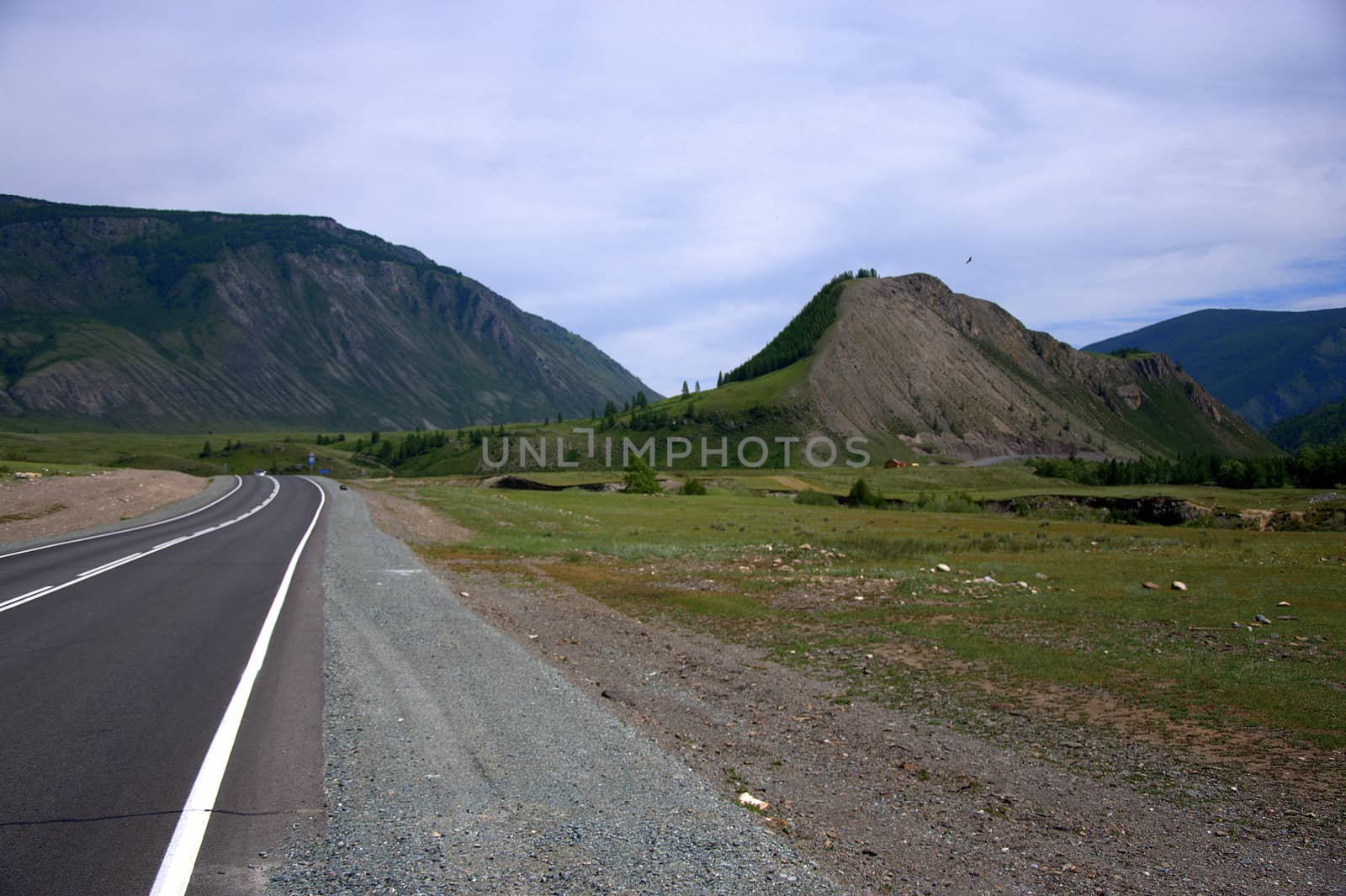 Asphalt road going through the valley at the foot of the hills. The Chuysky tract, Altai, Siberia, Russia. Landscape. by alexey_zheltukhin