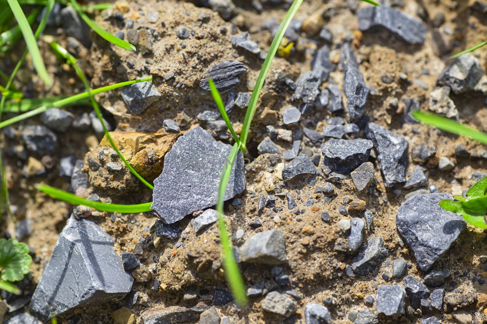 Macro view of blue gravel rock in the earth with grass growing around it