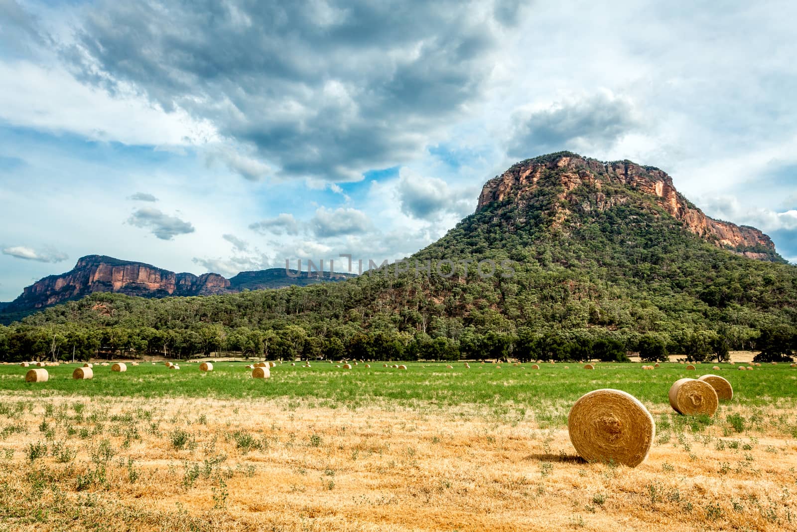 hay bales in fields in rural Australia by lovleah