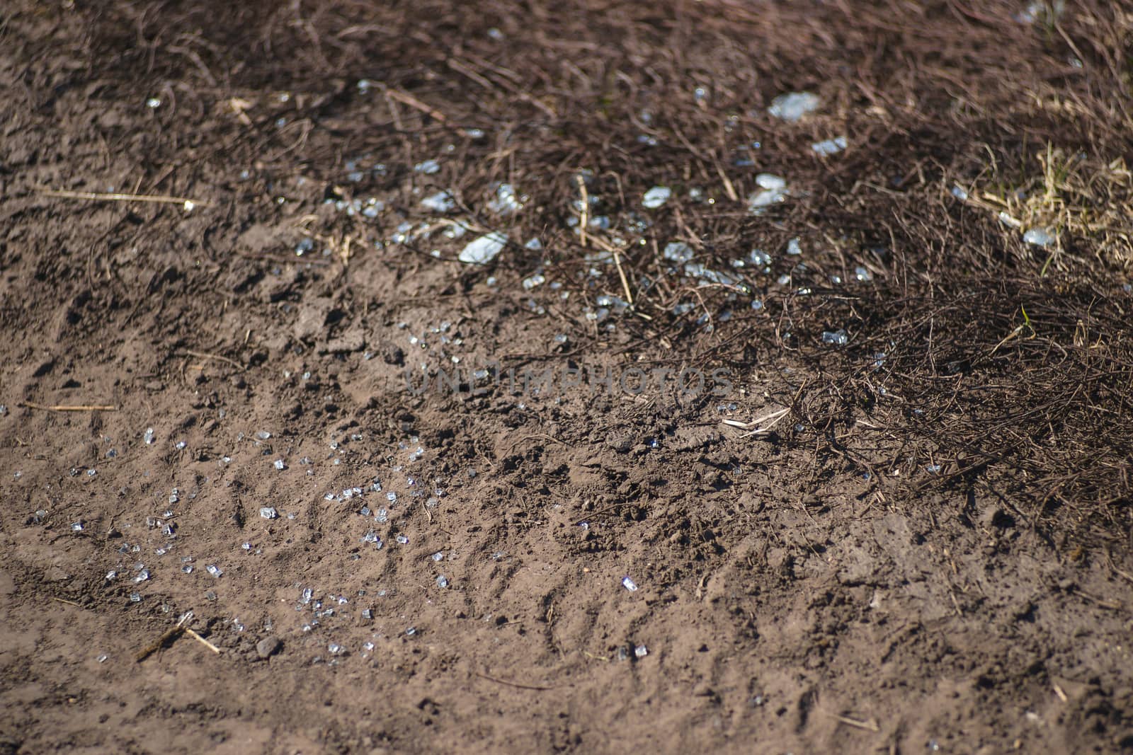 Trash on the agriculture field. Ecology problem and big harm to nature. 