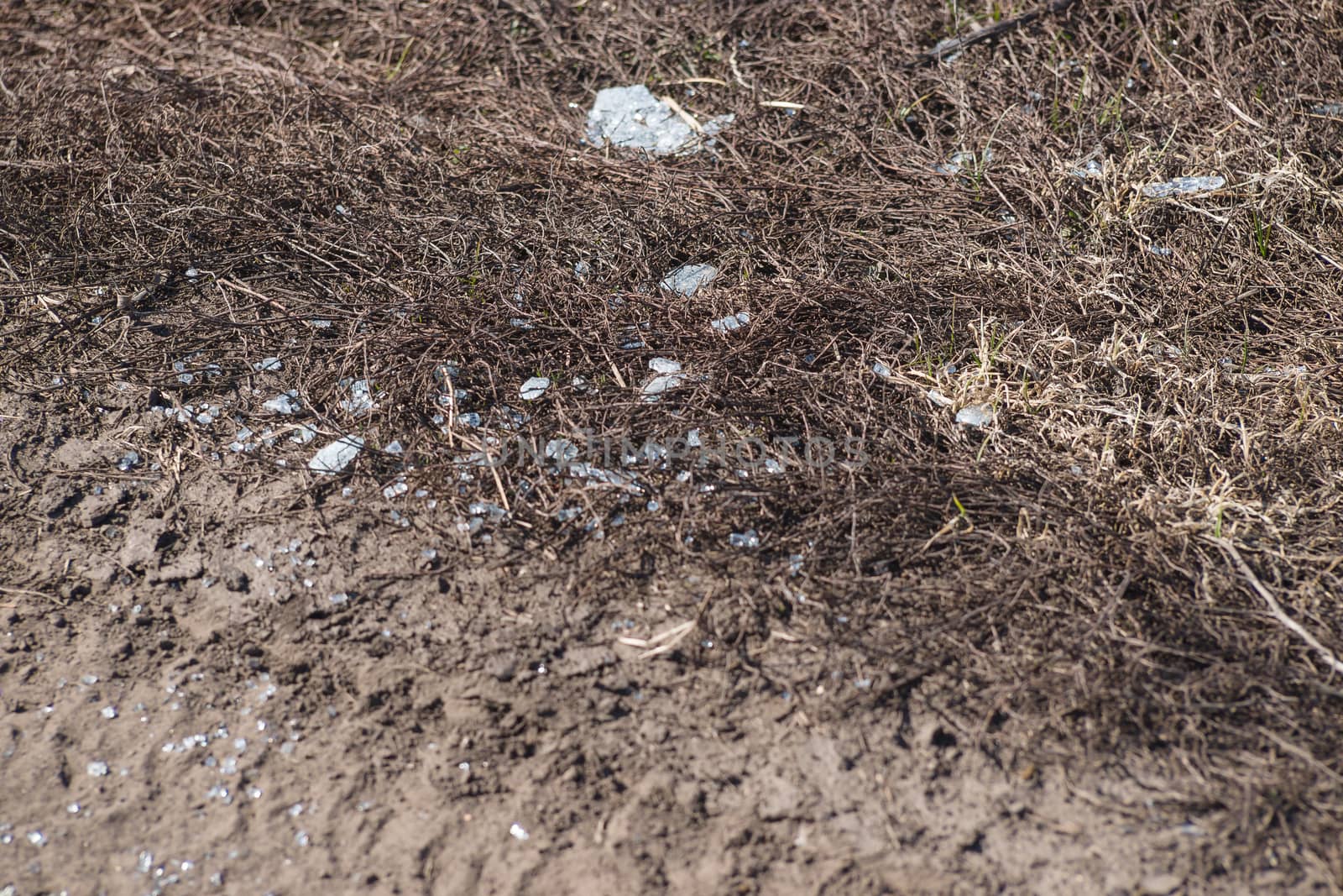 Trash on the agriculture field. Ecology problem and big harm to nature. 