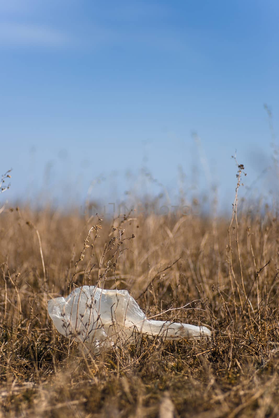 Closeup dry field grass with plastic trash on blurred background. Minimal depth of field. Early spring on photo.