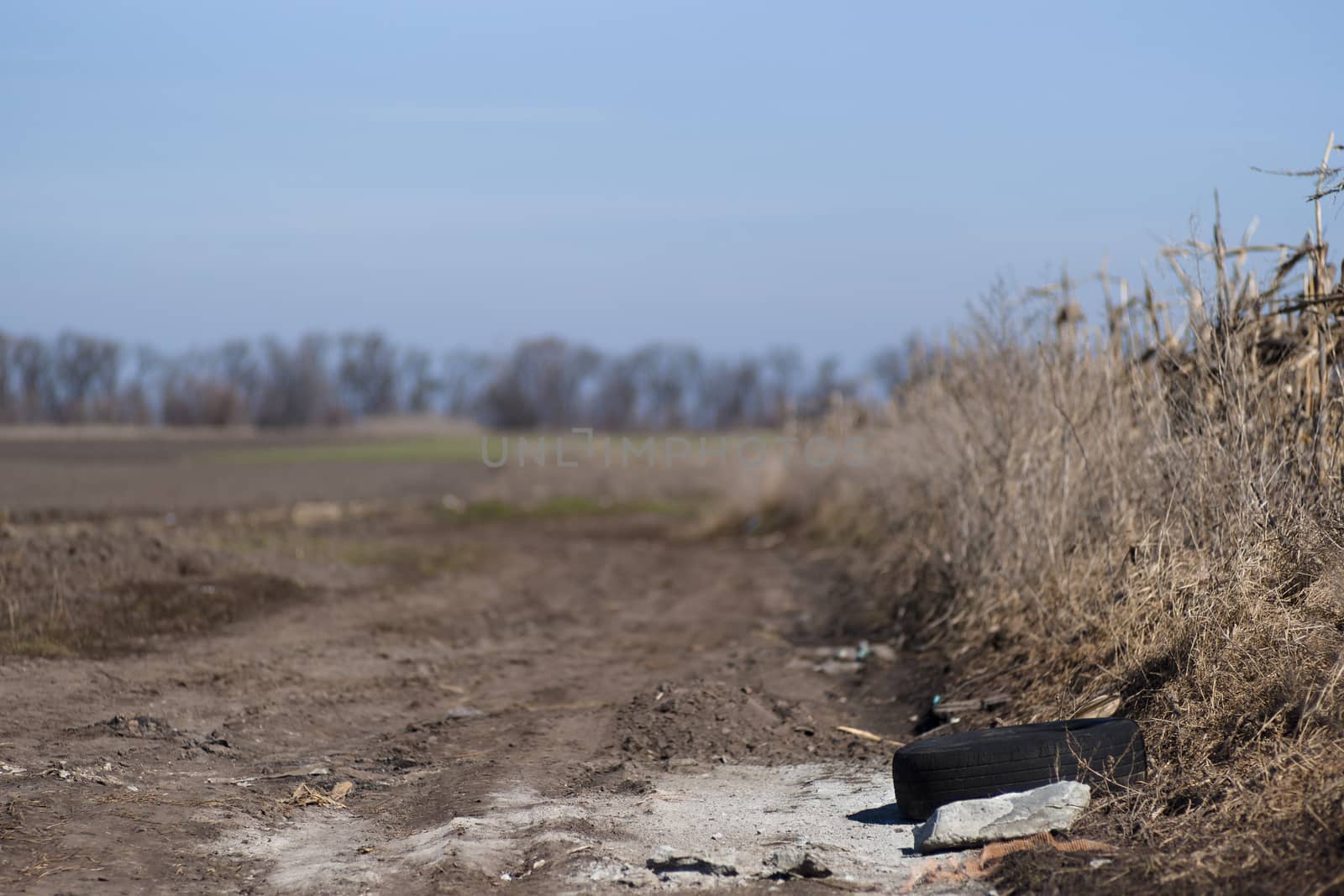 Field dirty road and dry field grass on blurred background. Mini by alexsdriver