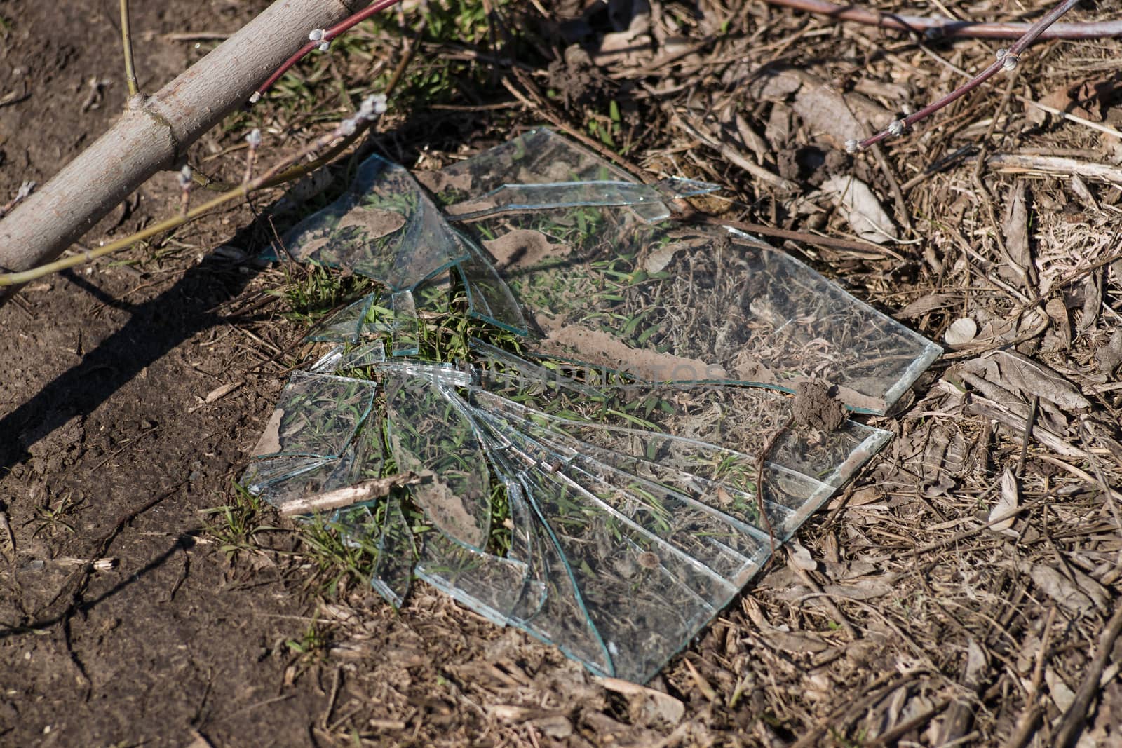 Trash on the agriculture field. Ecology problem and big harm to  by alexsdriver