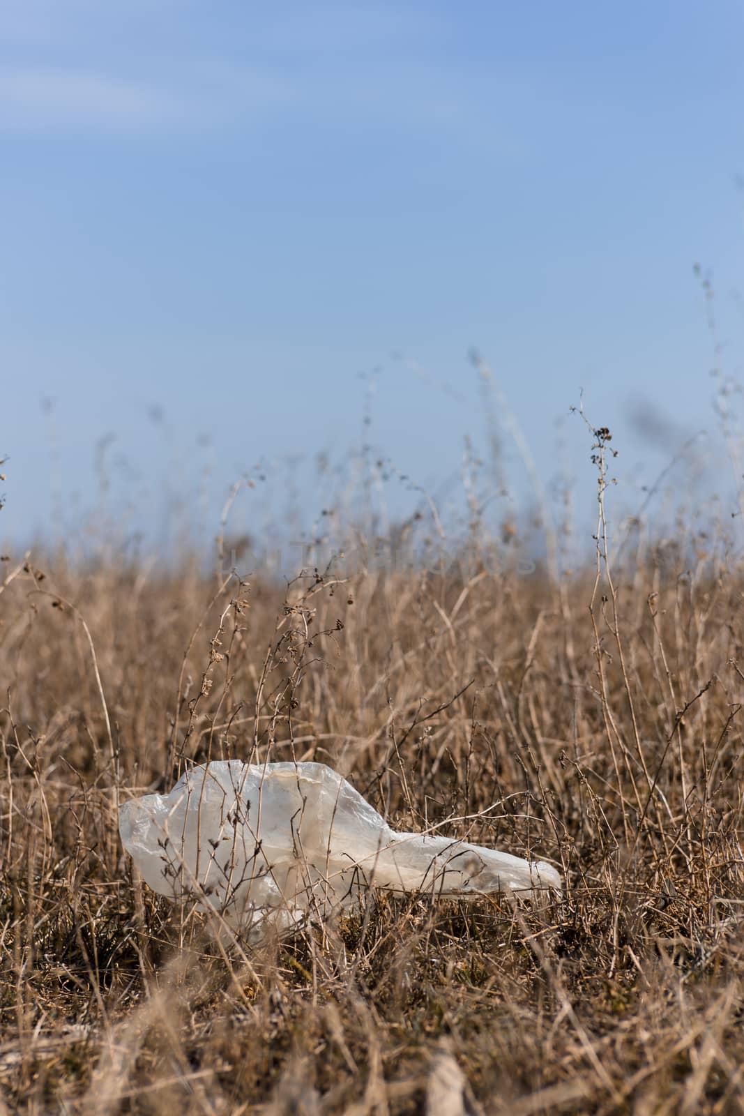 Closeup dry field grass with plastic trash on blurred background by alexsdriver