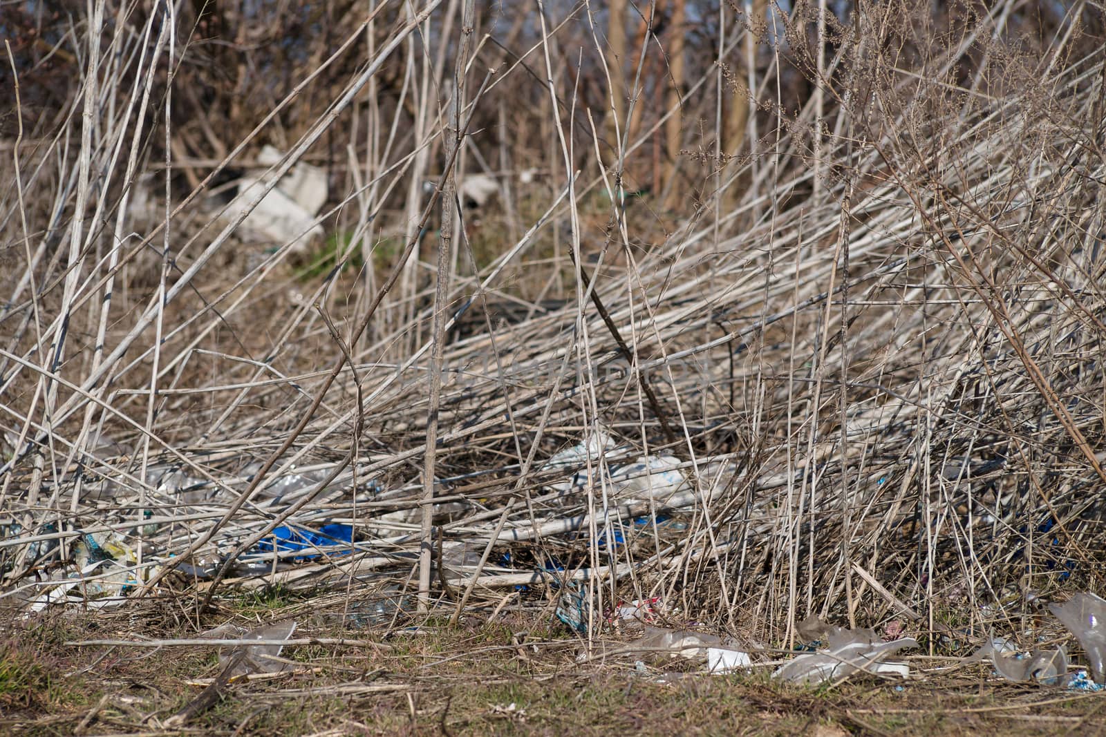 Trash on the agriculture field. Ecology problem and big harm to nature. 