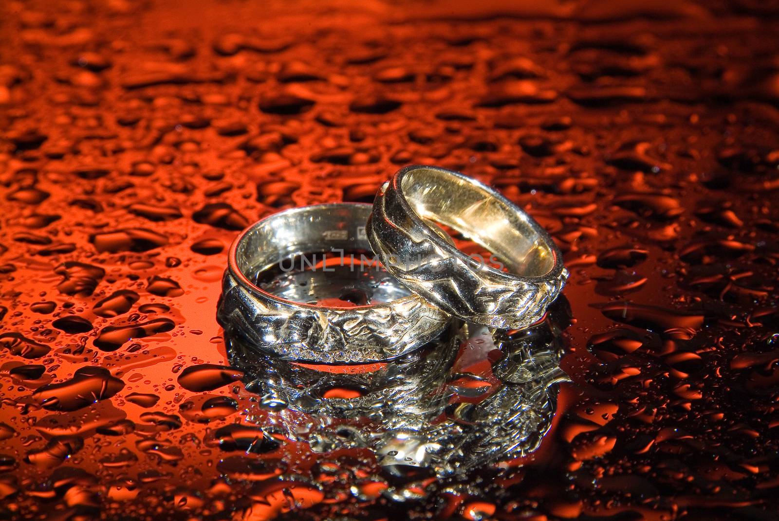 Wedding rings and rose petals on a studio background