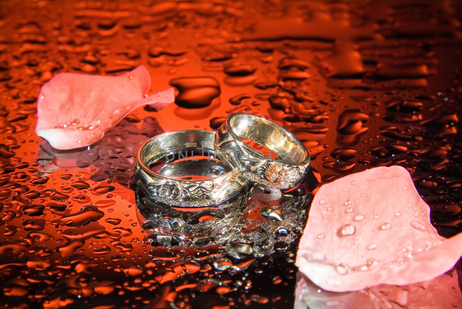 Wedding rings and rose petals on a studio background