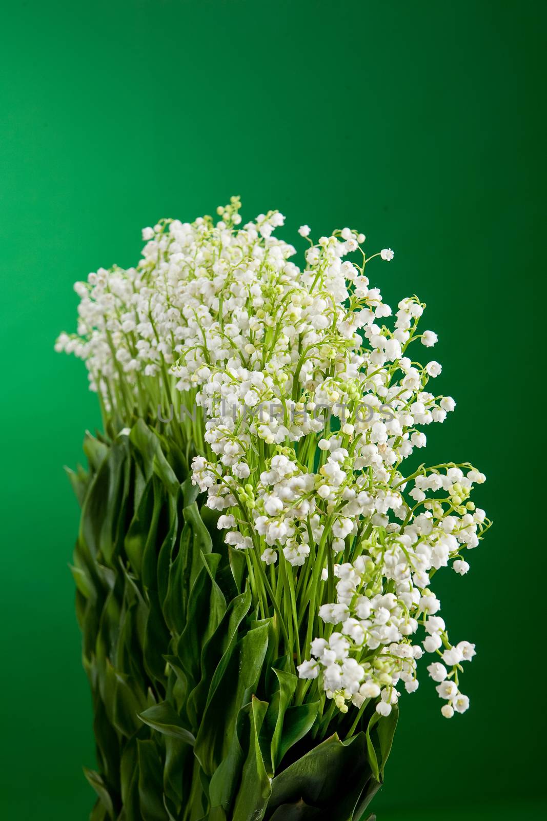 Still life with bouquet of flowers and accessories on a studio background