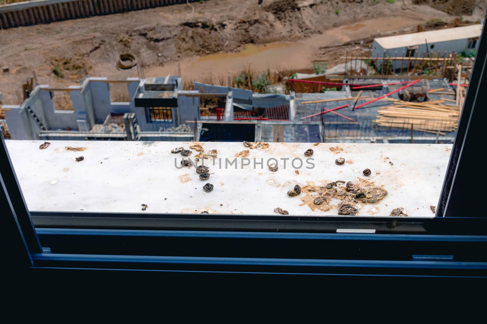 Pigeon droppings on the windowsill. A building under construction in the background.