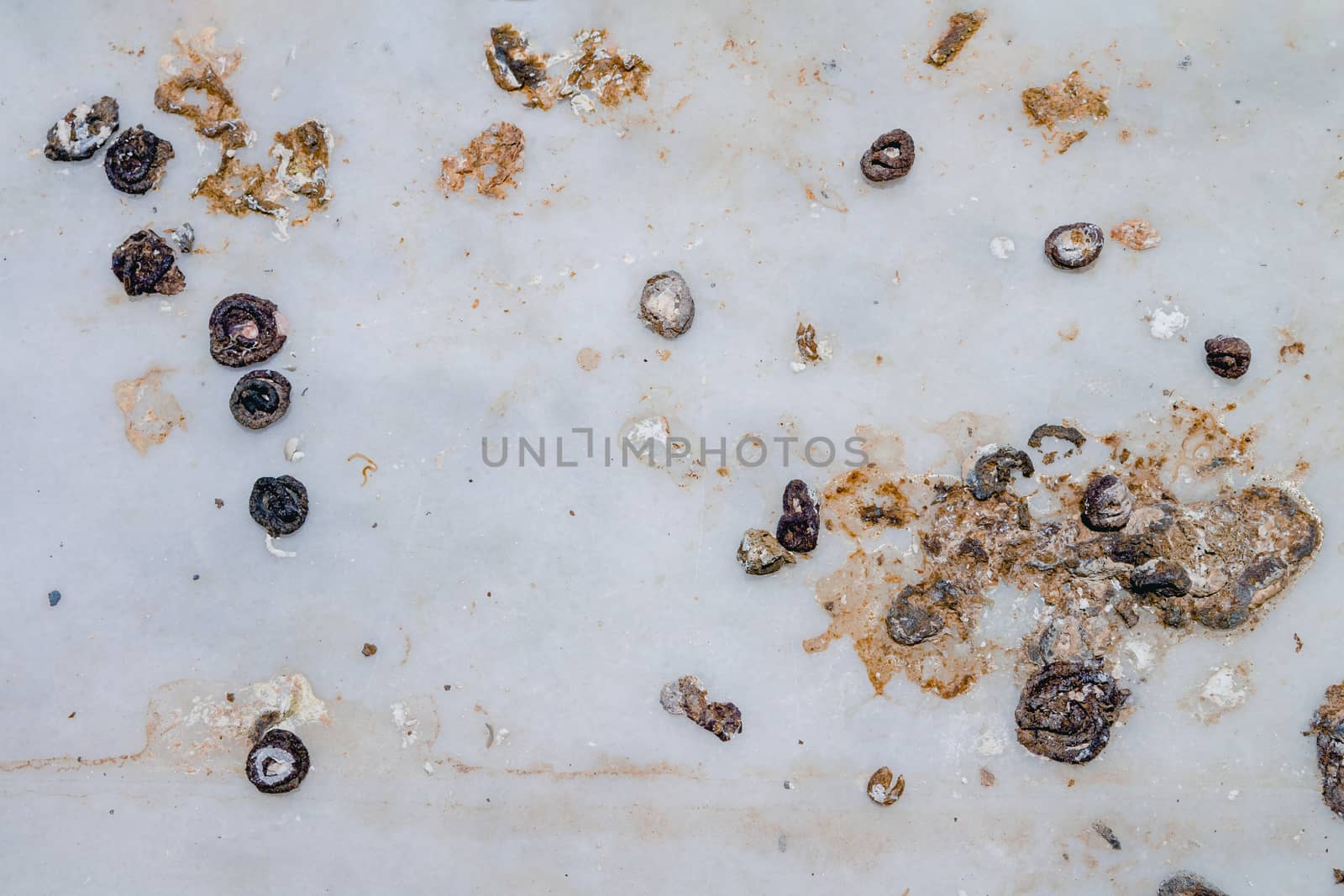 Pigeon droppings on the windowsill. Top view flat lay.