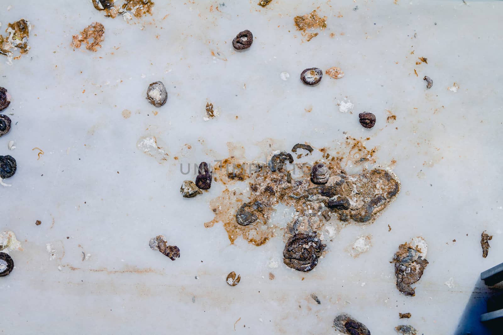 Pigeon droppings on the windowsill. Top view flat lay.
