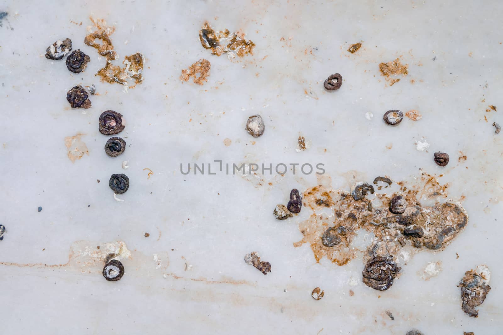 Pigeon droppings on the windowsill. Top view flat lay.