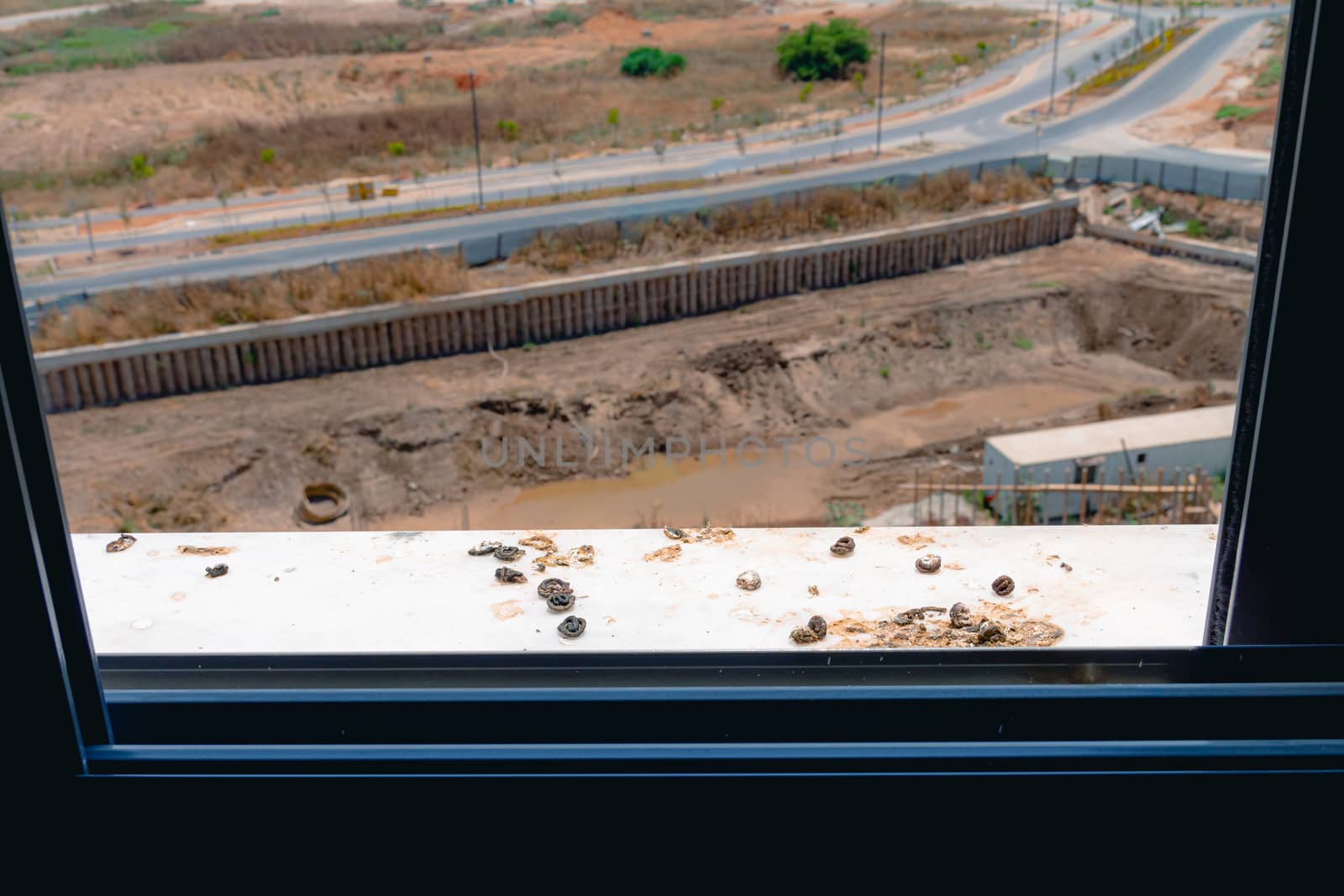 Pigeon droppings on the windowsill. A building under construction in the background.