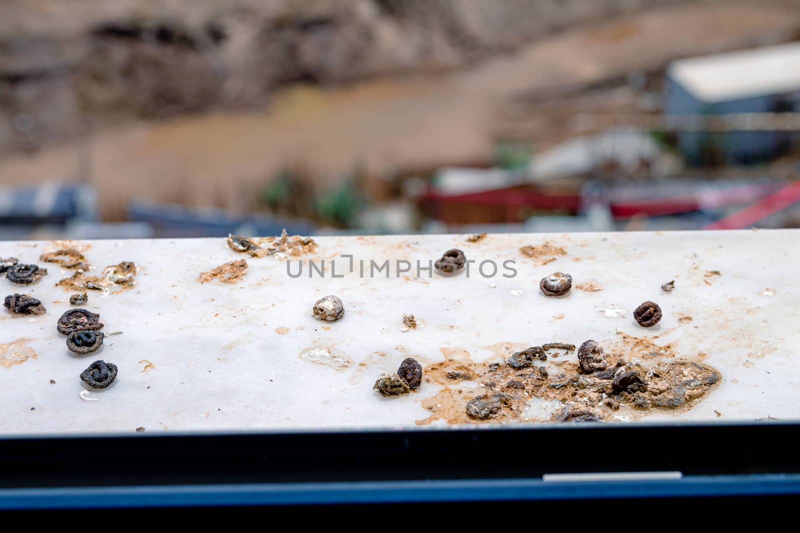 Pigeon droppings on the windowsill. A building under construction in the background.