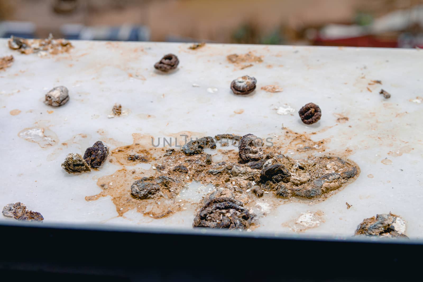 Pigeon droppings on the windowsill. A building under construction in the background. Close up.