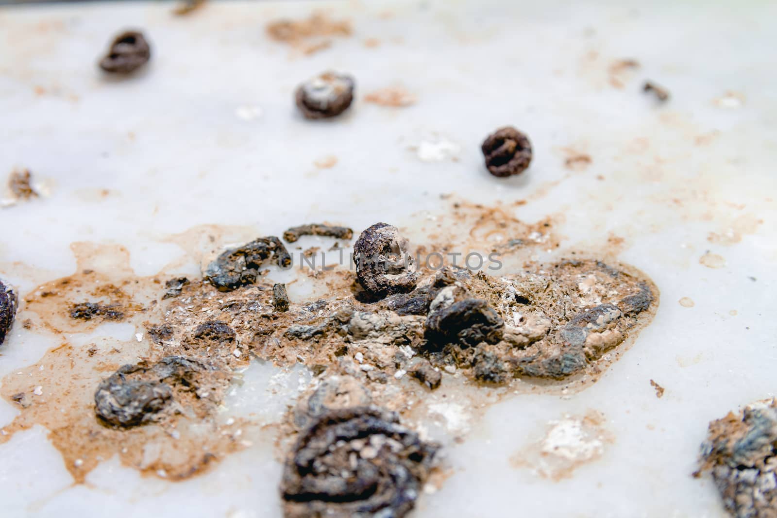 Pigeon droppings on the windowsill. Macro close up.