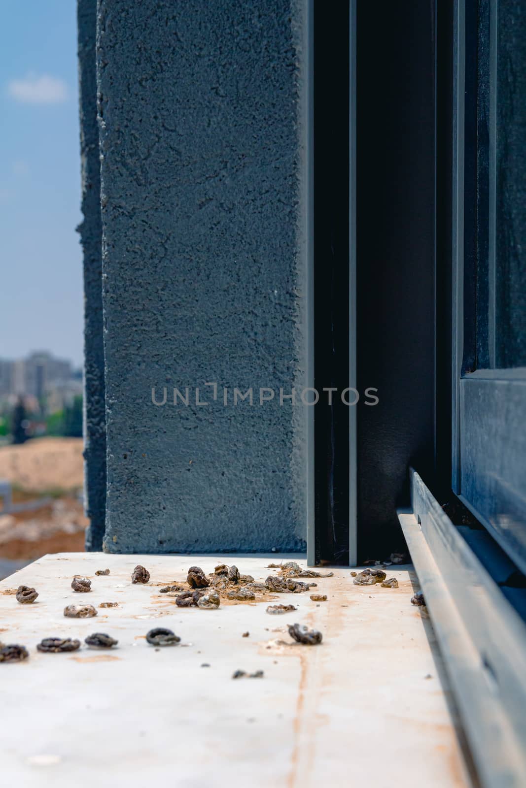 Pigeon droppings on the windowsill. Side View.