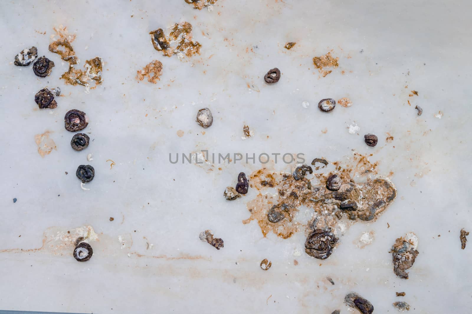 Pigeon droppings on the windowsill. Top view flat lay.