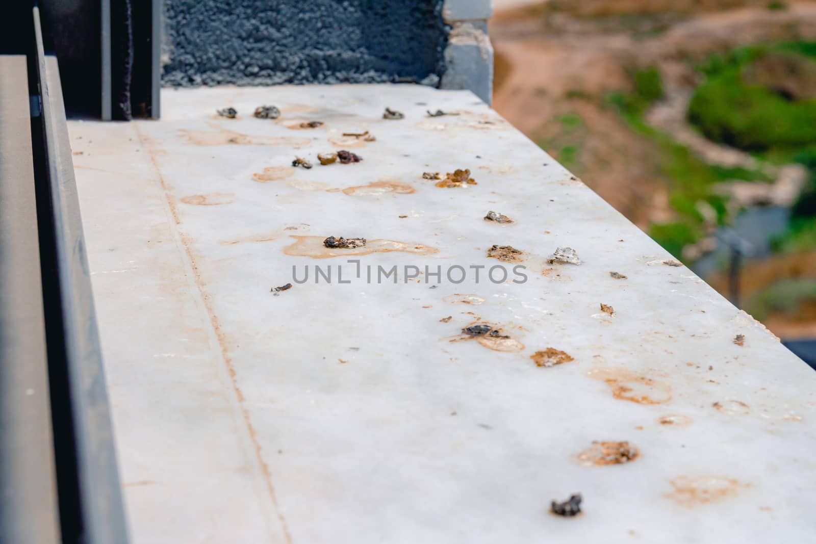 Pigeon droppings on the windowsill. Side View.