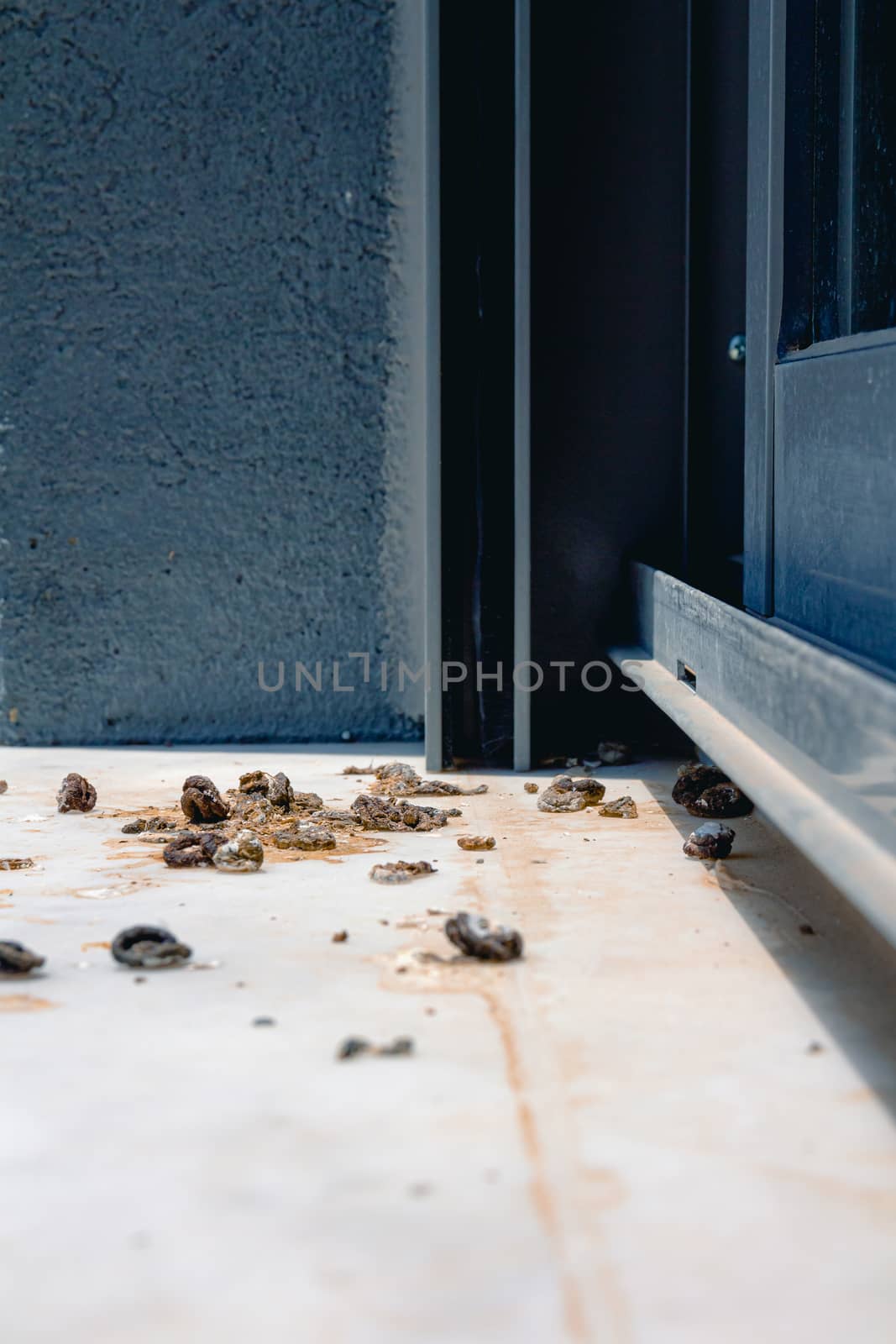 Pigeon droppings on the windowsill. Side View.