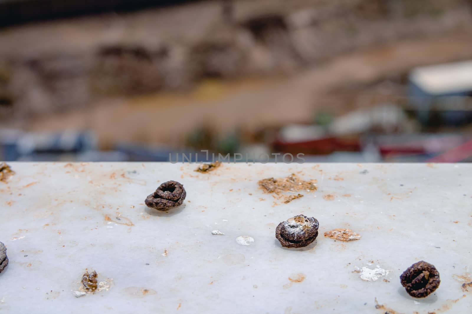 Pigeon droppings on the windowsill. Close up.