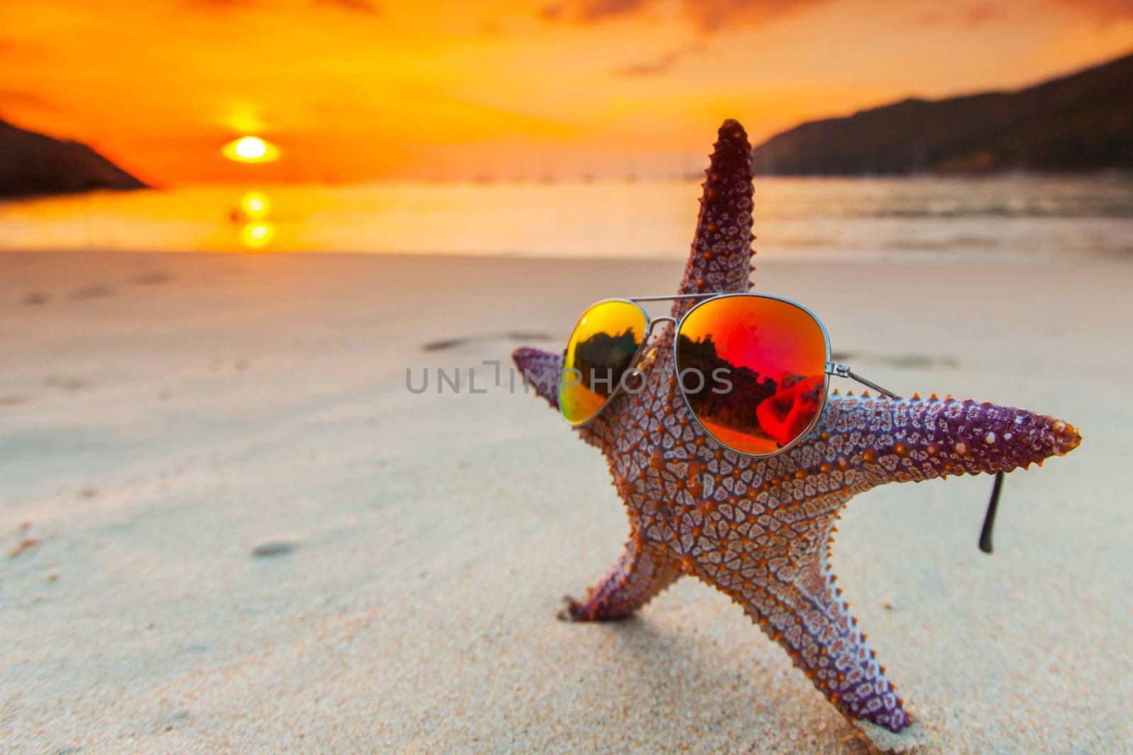 Starfish in sunglasses on sea beach at sunset