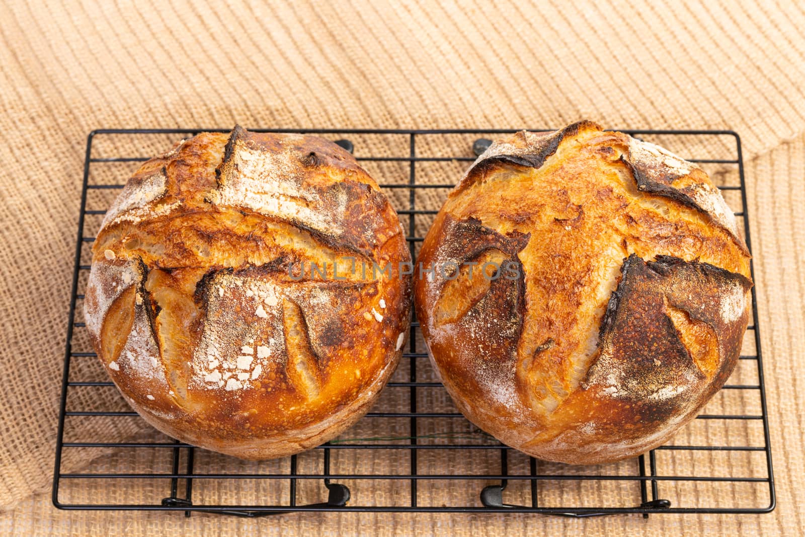 Homemade Sourdough Bread Loaves by viscorp