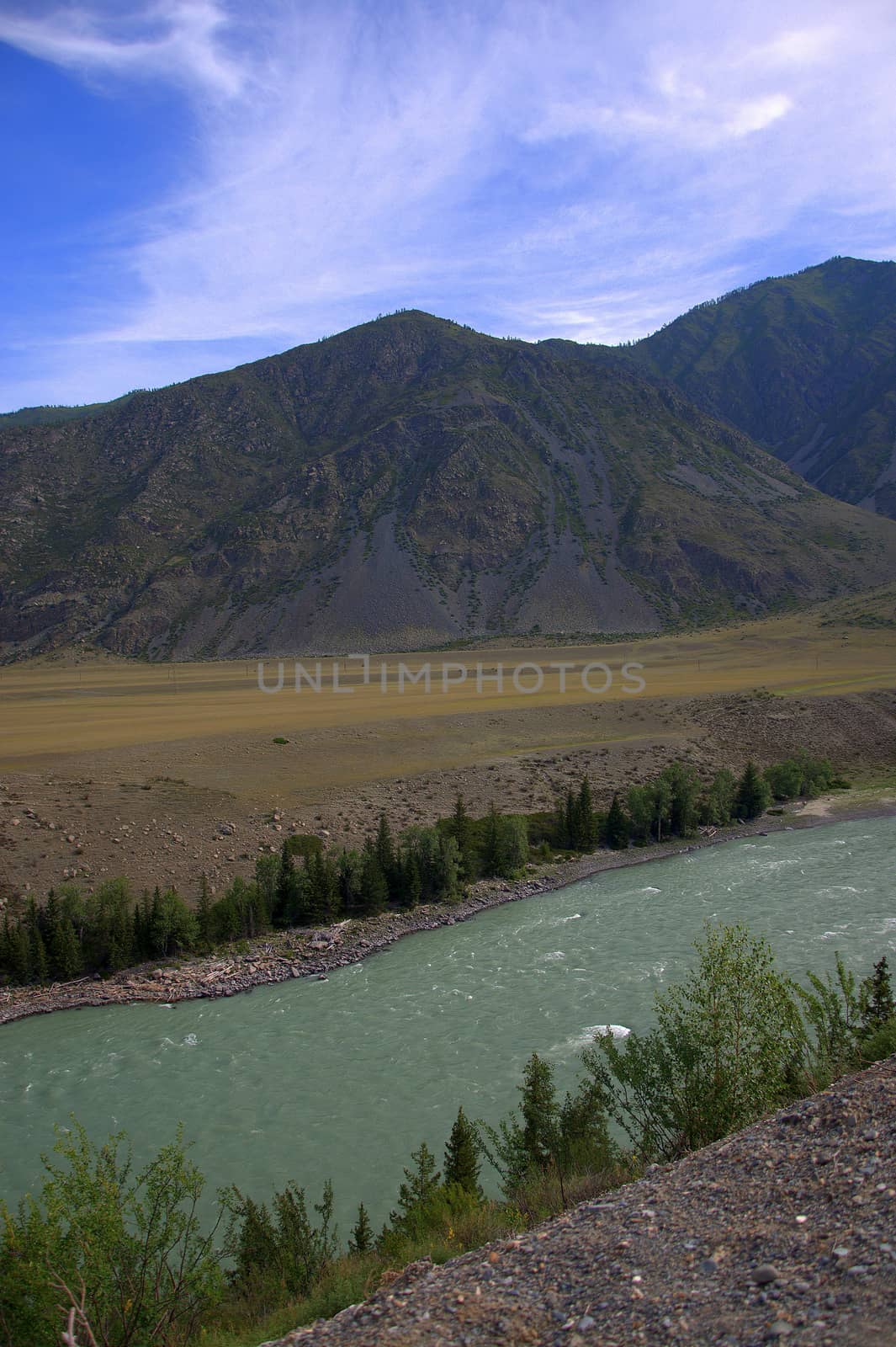 Turquoise river Katun flowing through a valley at the foot of the mountains. Altai, Siberia, Russia.