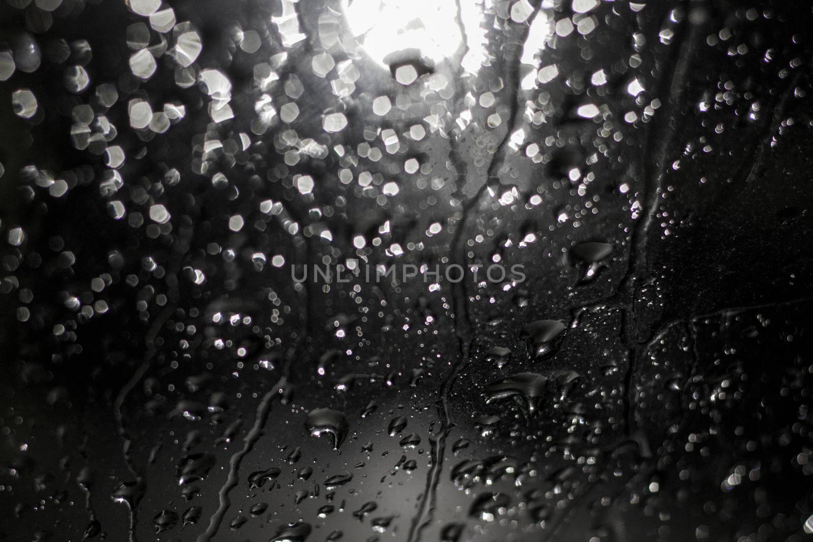 Night blurred rain drops bokeh backdrop. Rain water on glass and lamp in the dark