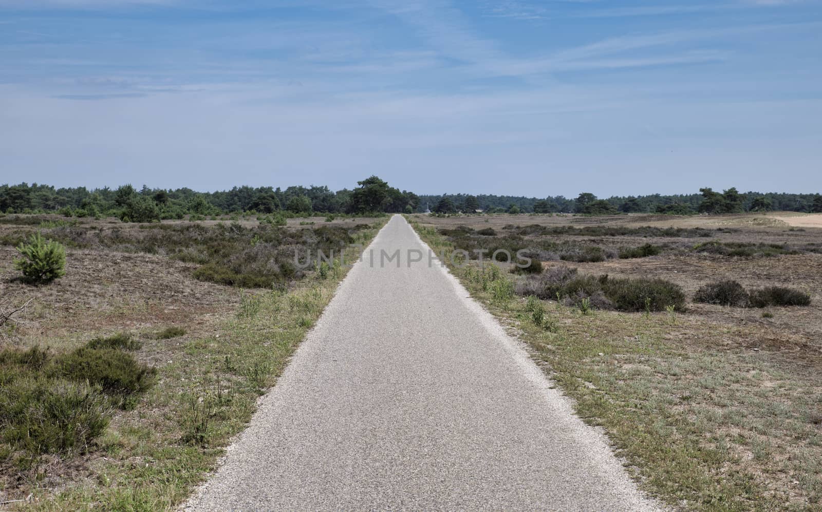 national park the hooge veluwe by compuinfoto