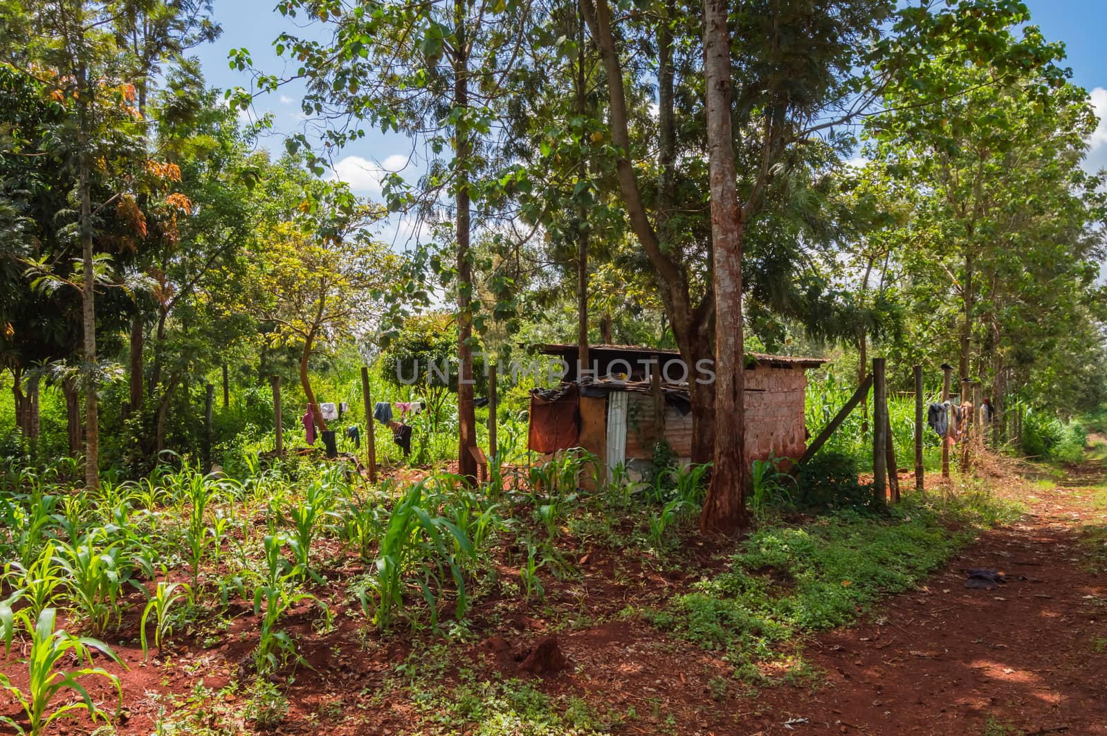 House in rural Kenya, Africa. A house in rural Kenya, Africa.  by Philou1000