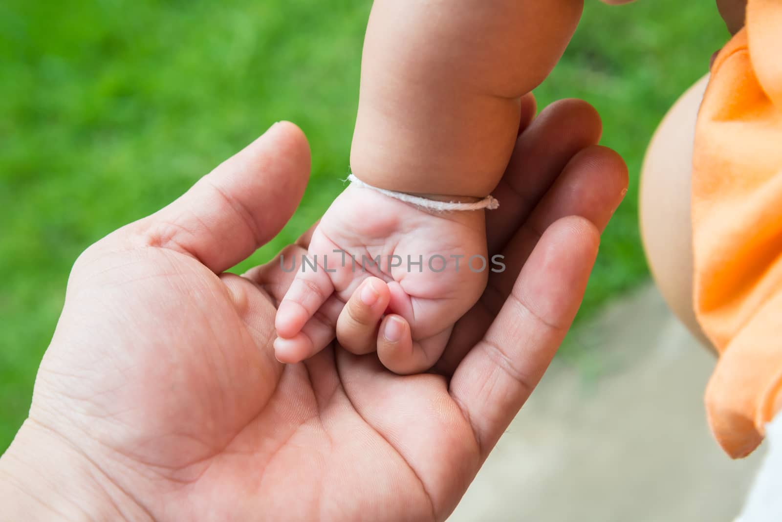 A handful of baby's fingers, concept of love and family,sensitive focus