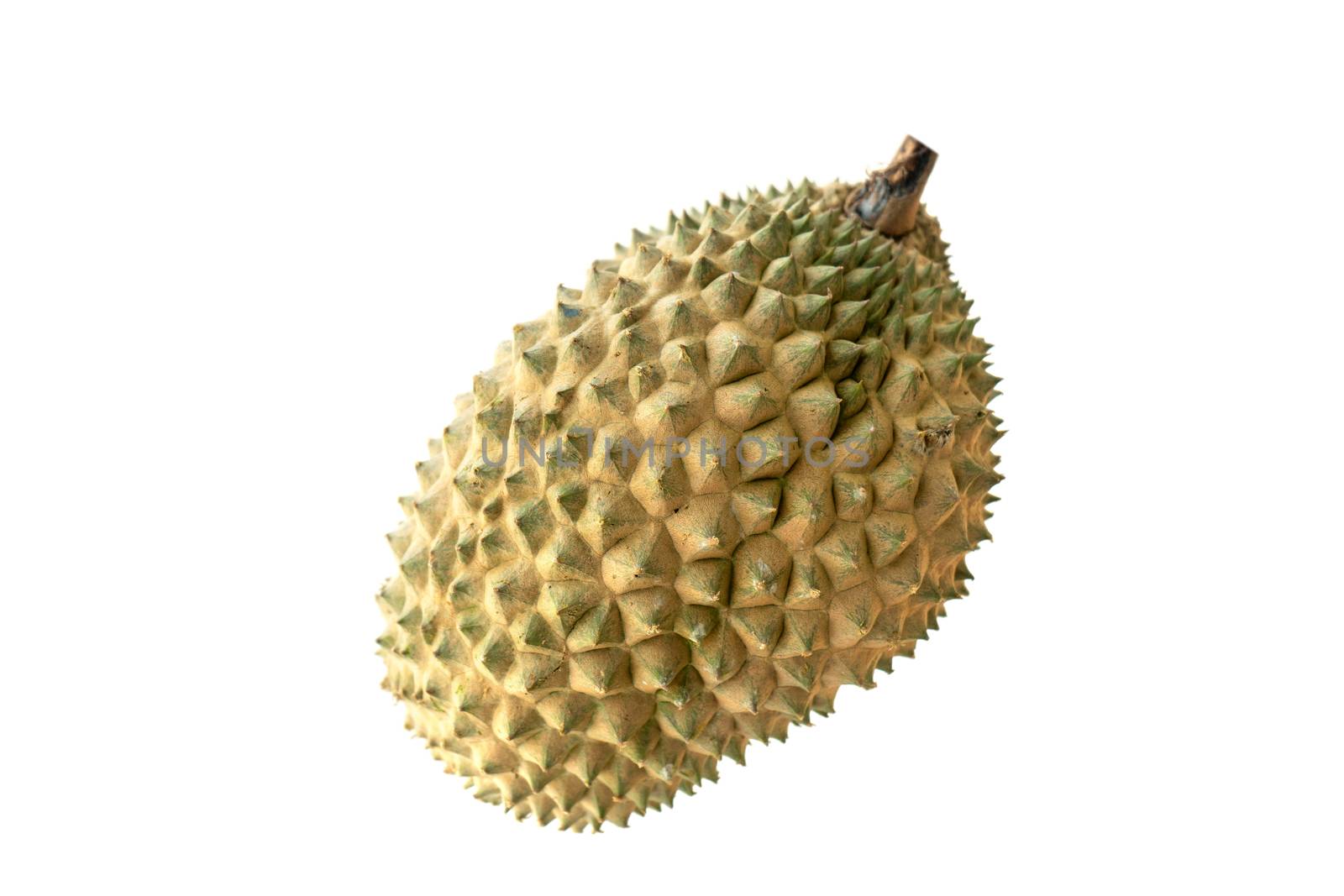 Malaysia famous king of fruits Durian isolated on white background.