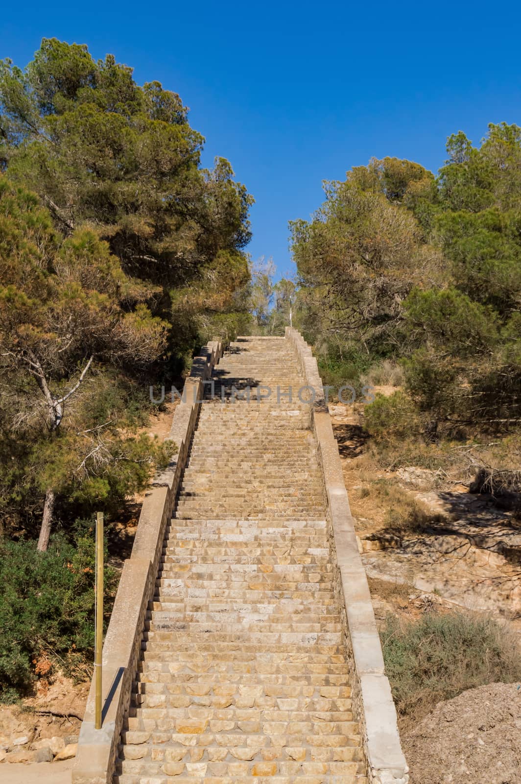 Cala Falcó O steps from S'Alga seen from the bottom without any Majorcan people, Spain. Cala Vines steps, no people, trees and, Cala Falcó O de s'Alga, mallorca