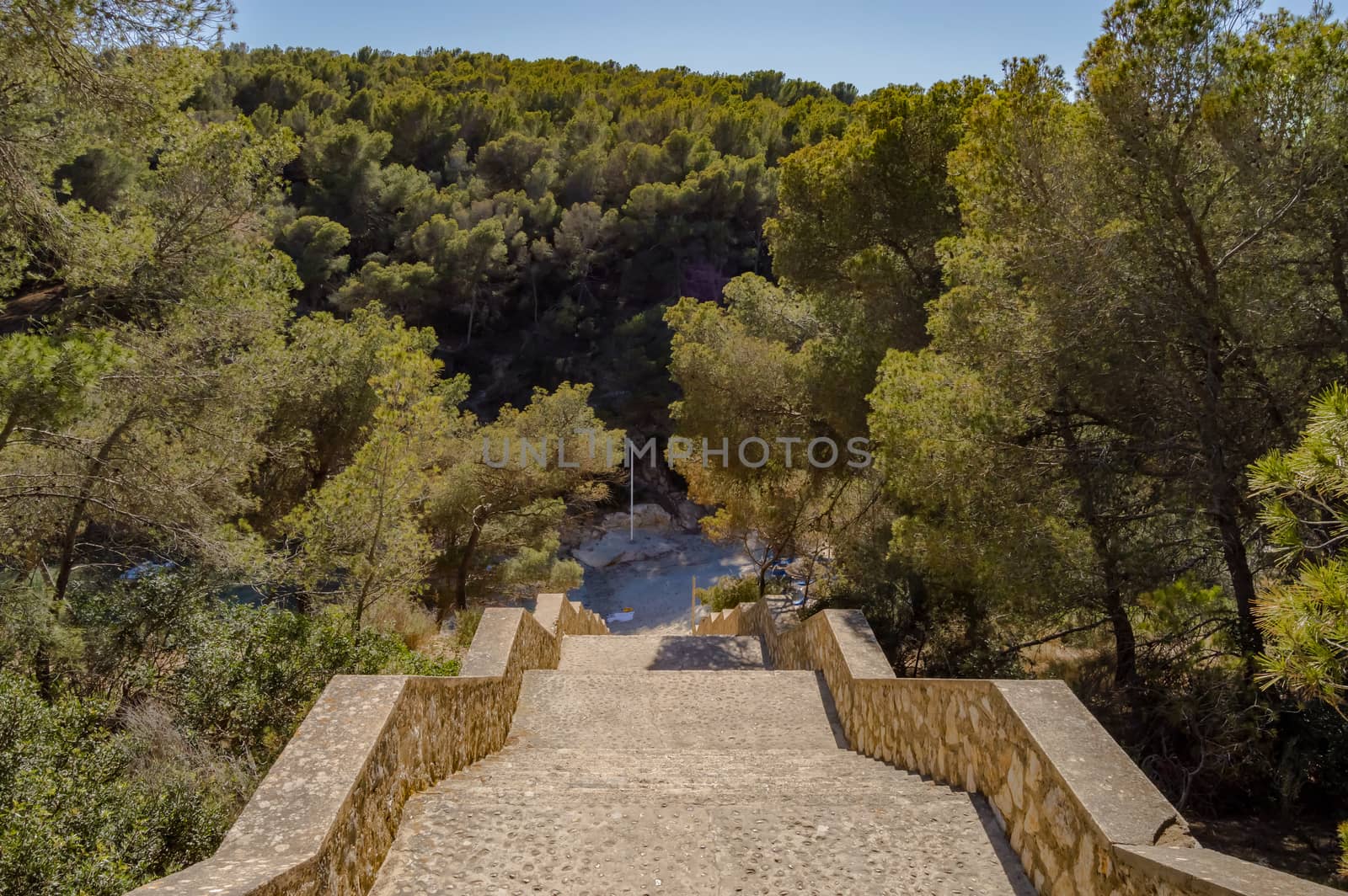 Cala Falcó O steps from S'Alga seen from the bottom without any Majorcan people, Spain. Cala Vines steps, no people, trees and, Cala Falcó O de s'Alga, mallorca