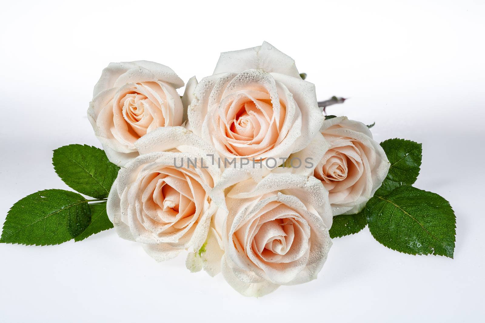 Bouquet of flowers on a studio background