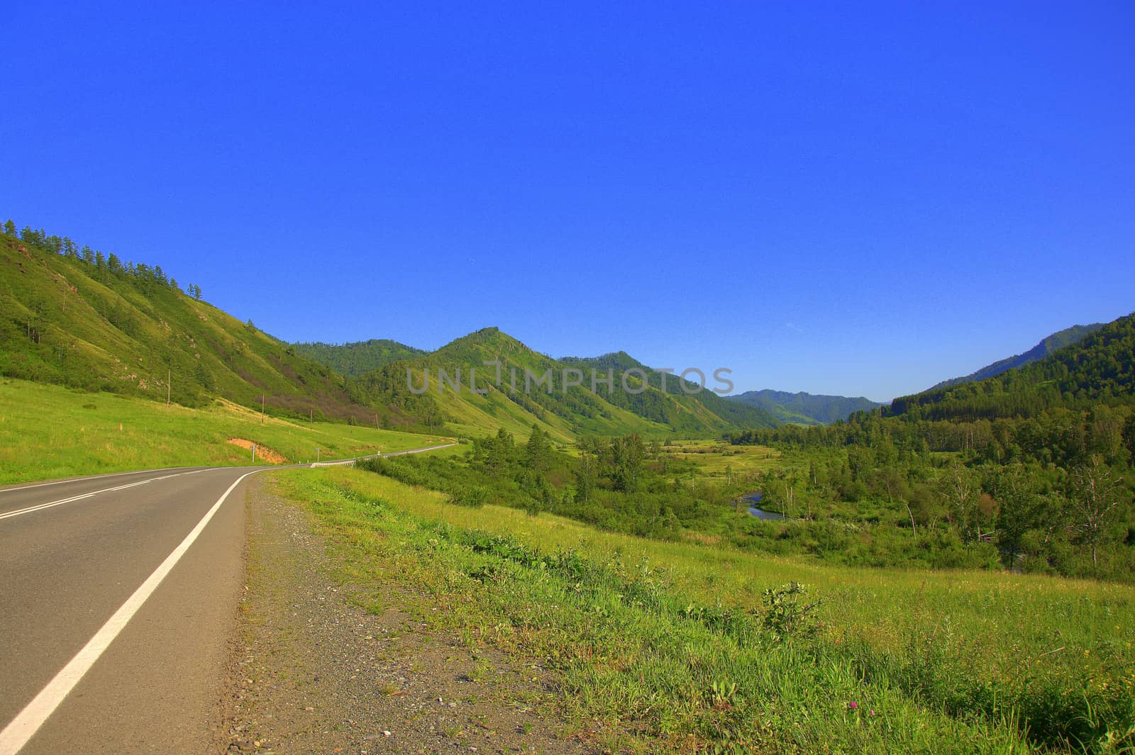 Asphalt road going through a fertile valley surrounded by a choir. Altai, Siberia, Russia.