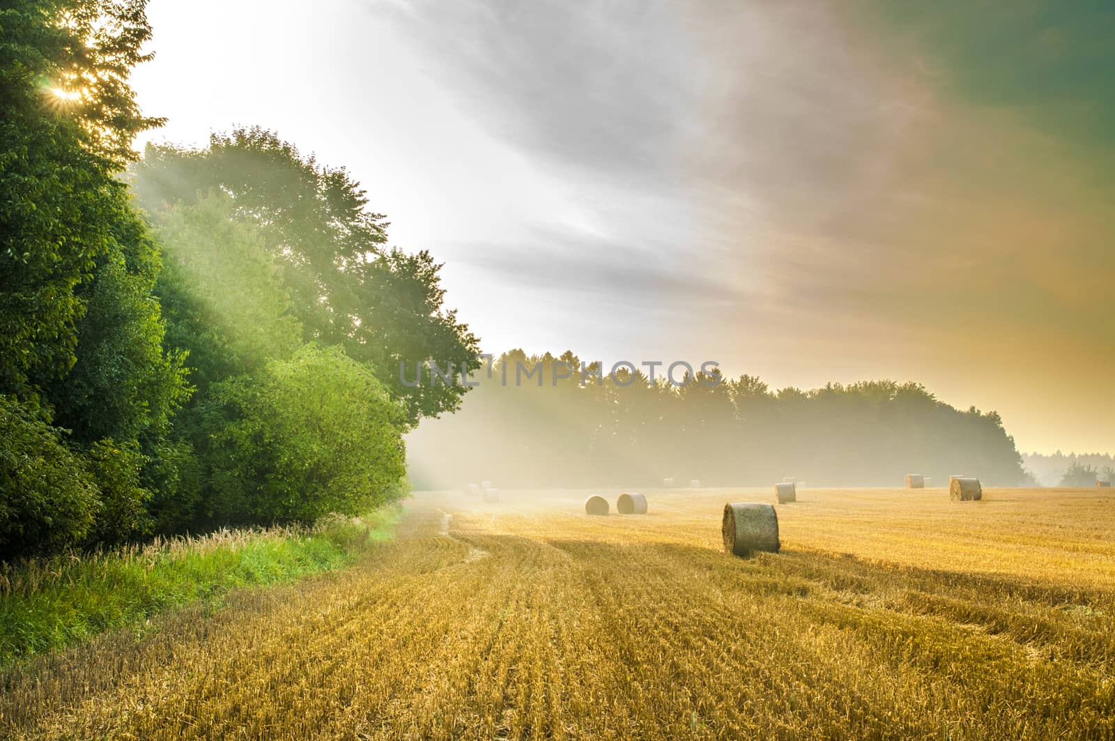 Summer sunrise view on harvested field with straw bales in the Bohemina Paradise, Czech Paradise.