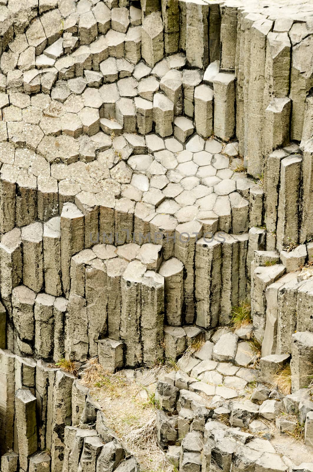 Columnar jointed basalt. mafic extrusive igneous rock. Panska Skala, Kamenicky Senov Czech Republic by vladiczech