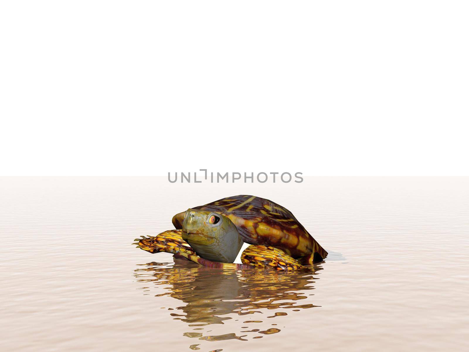 brown turtle in the ocean - 3d rendering by mariephotos