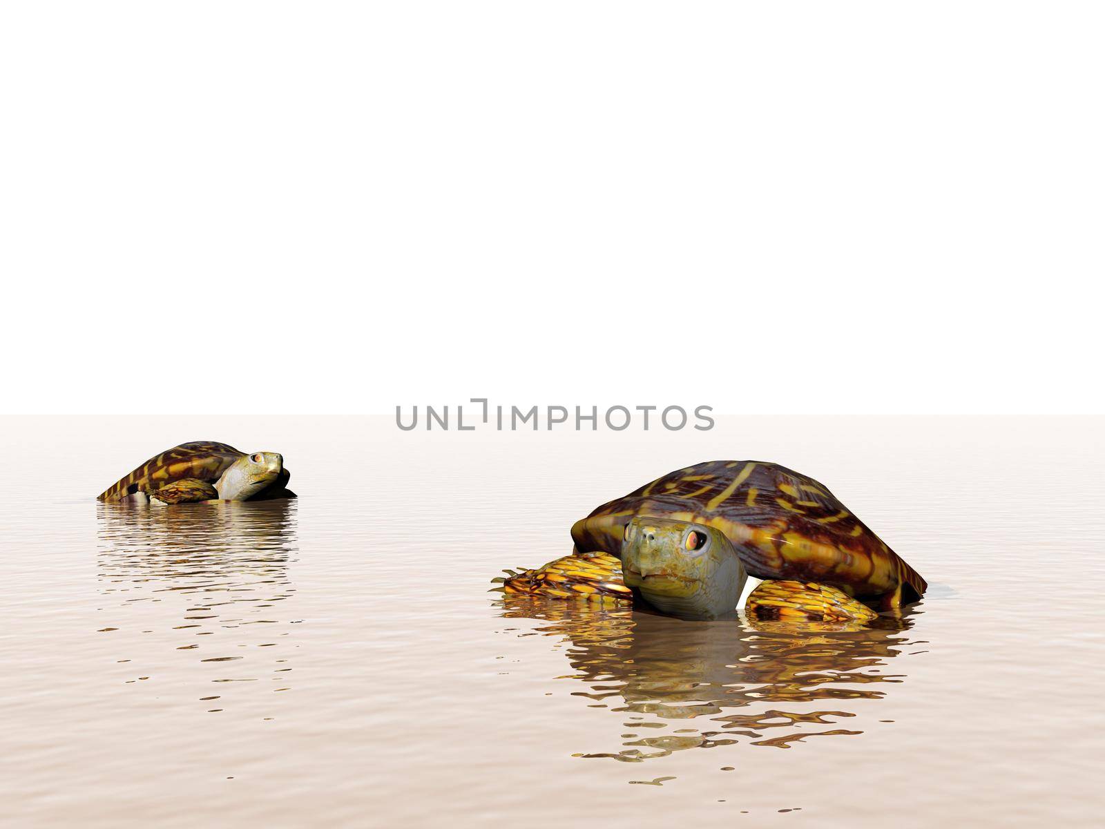 brown turtle in the ocean - 3d rendering by mariephotos