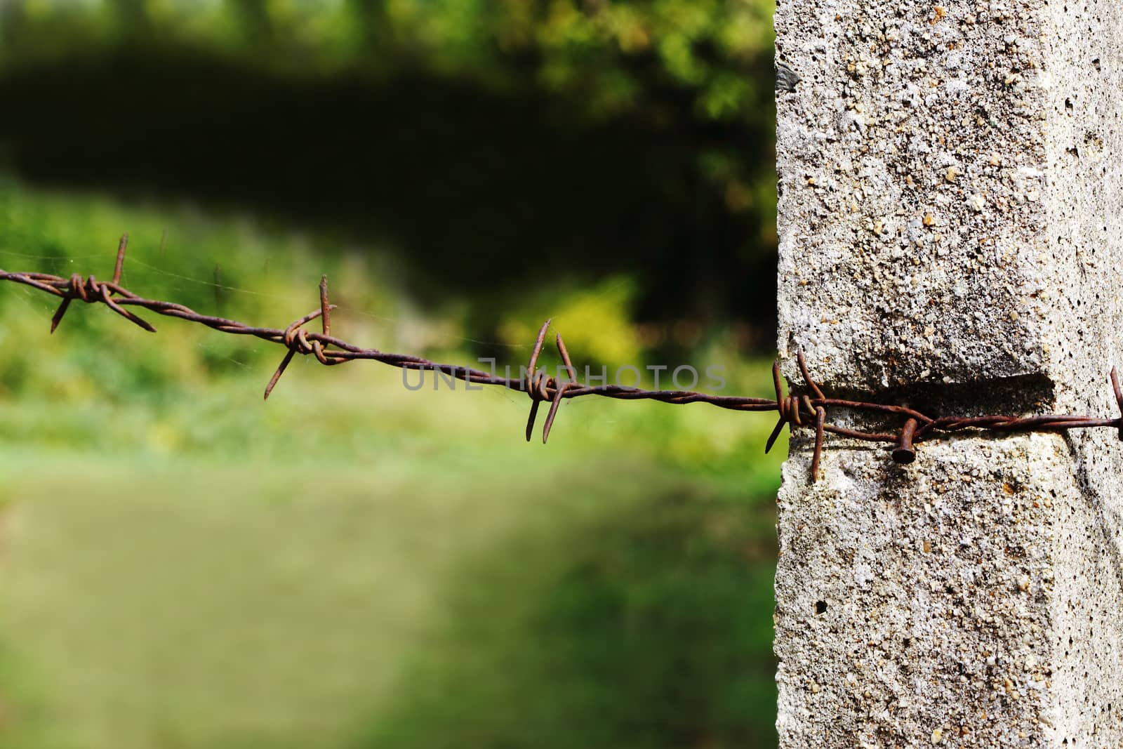 barbed wire involve concrete pole.