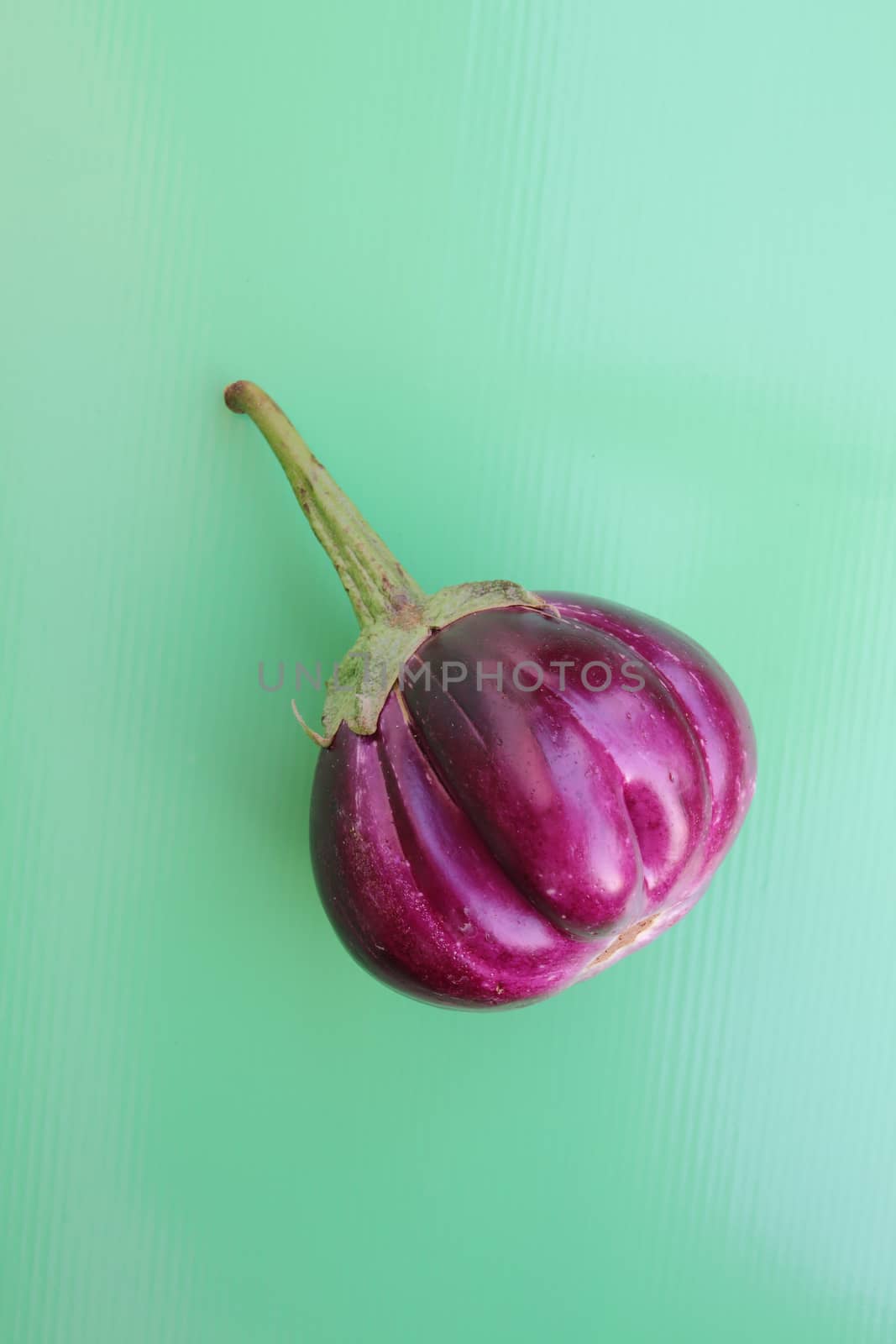 Purple Eggplant on green background