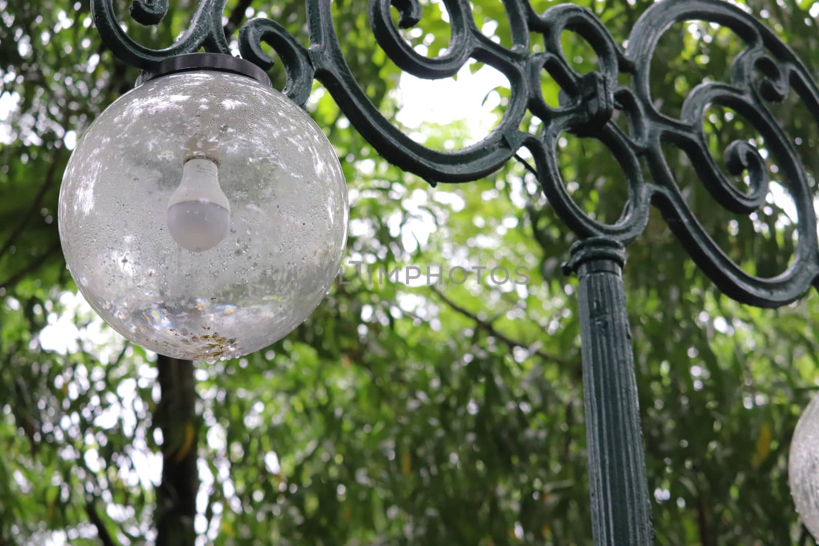 Spherical vintage designer streetlamp in the greenery of park