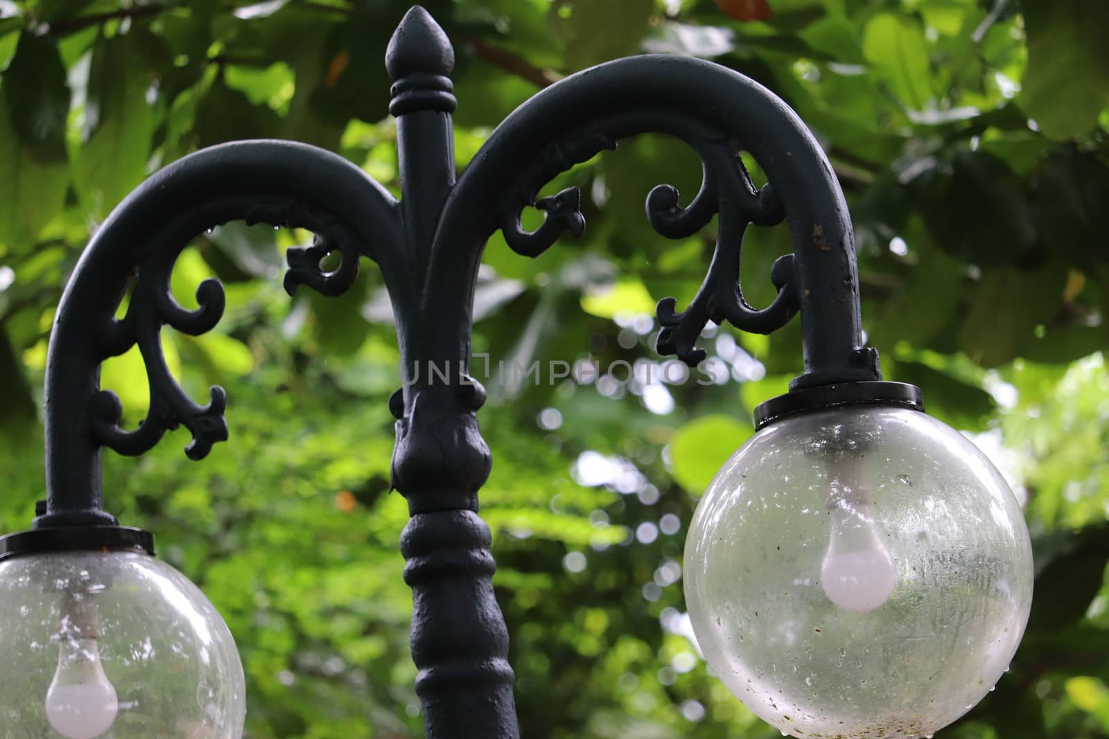 Spherical vintage designer streetlamp in the greenery of park