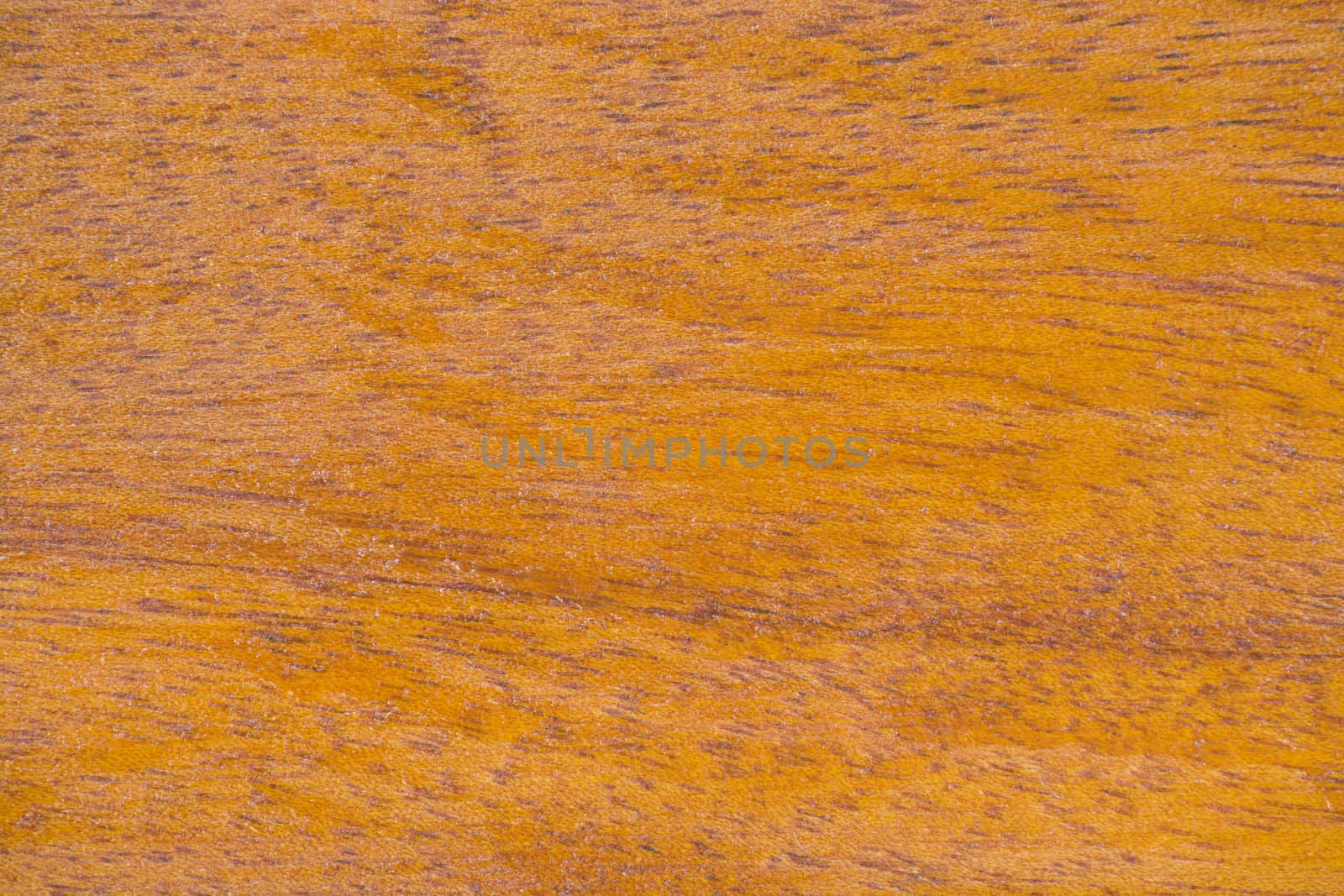 Close-up Abstract Texture Background of Polish Hard Wood