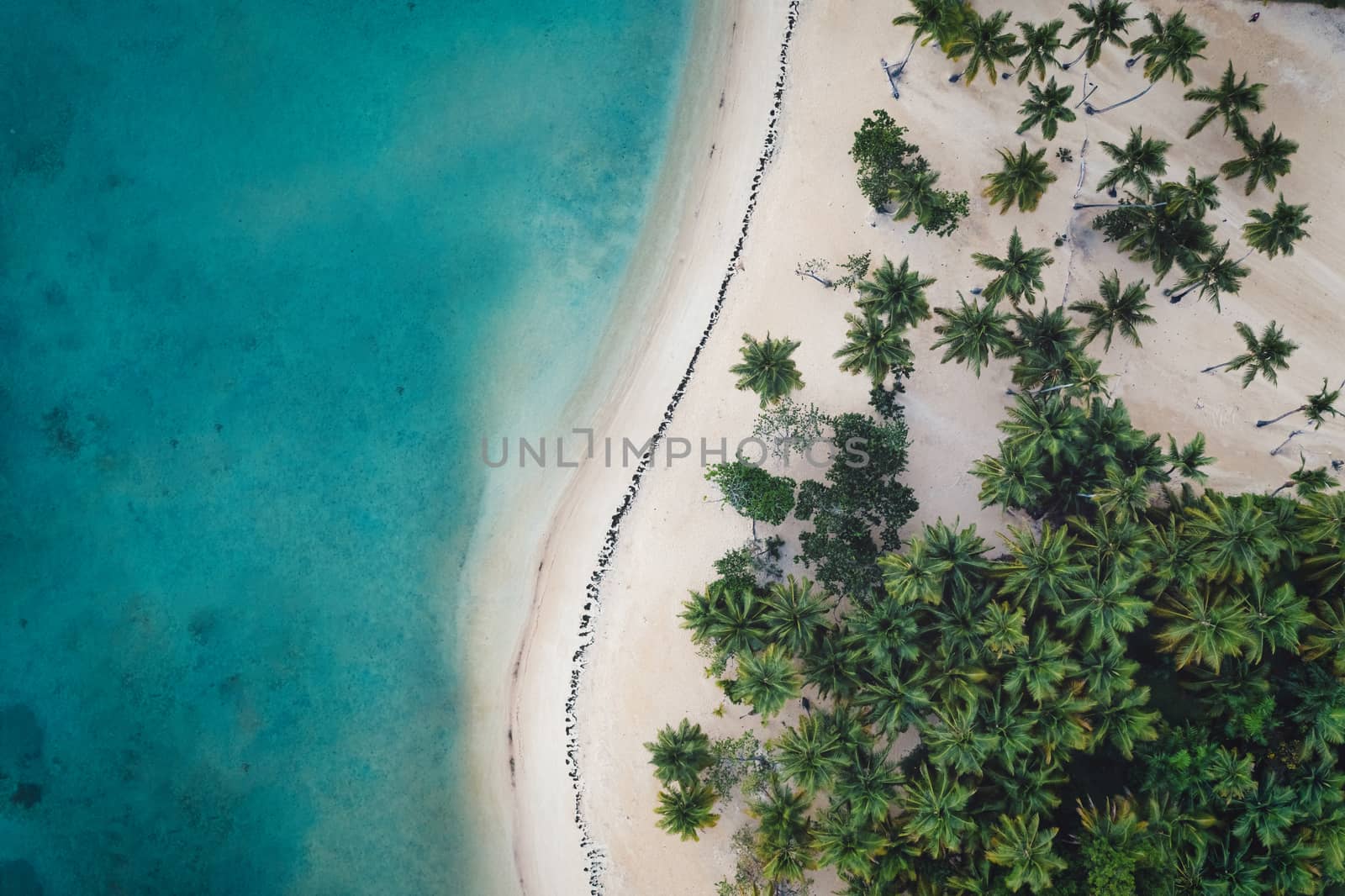 Aerial view of tropical beach.Samana peninsula,Bahia Principe beach,Dominican Republic.