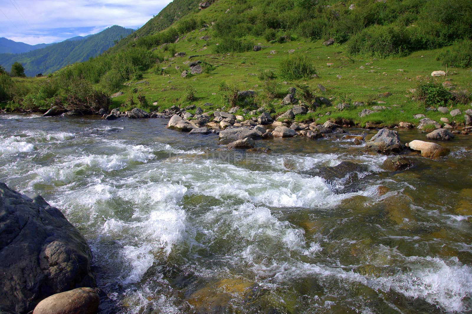 A stormy and impetuous mountain river flows through the valley and the forest is sandwiched in rocky shores. Sema, Altai, Siberia, Rossiya.