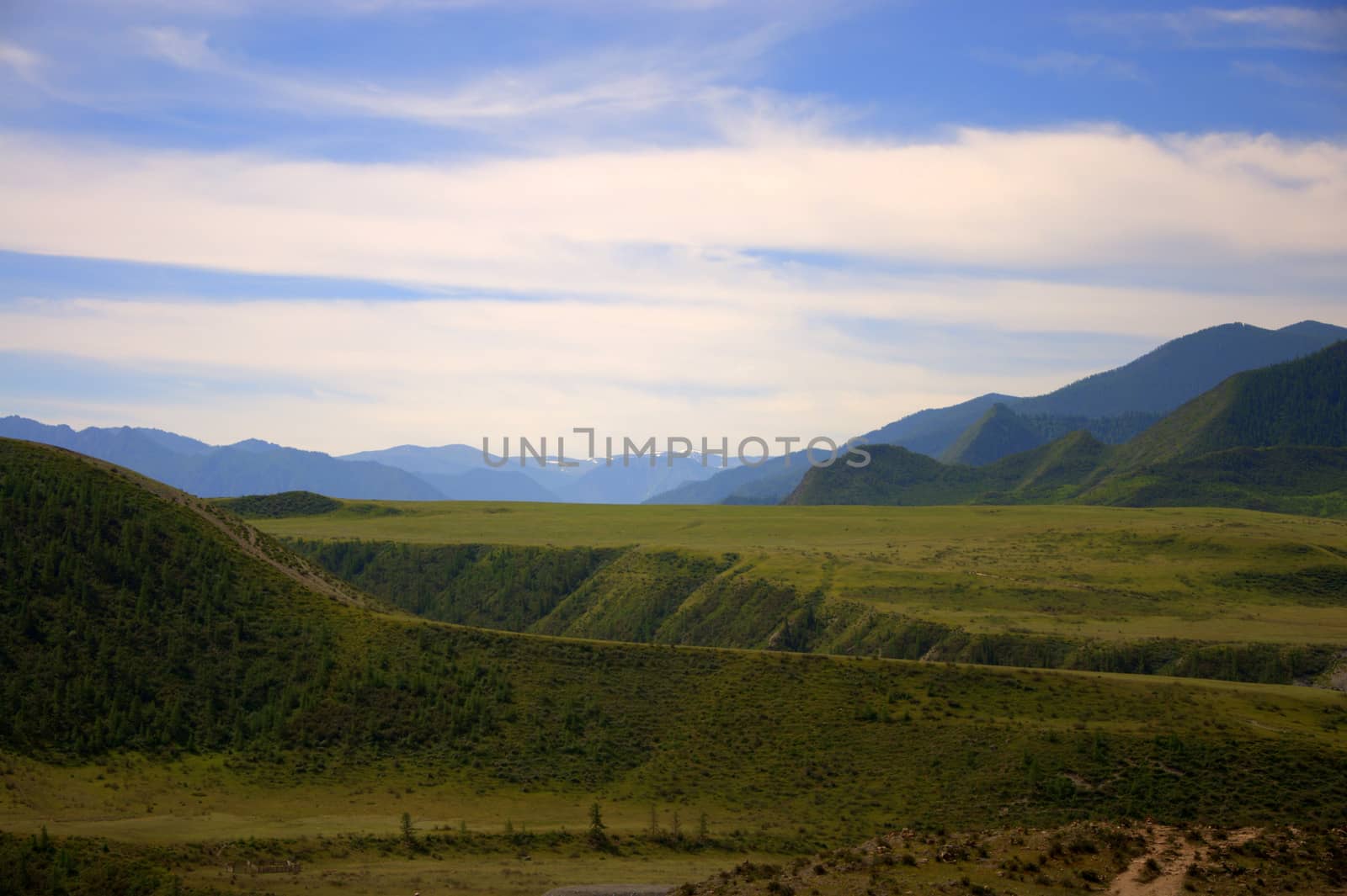 Pasture and fertile valley sandwiched in the mountains. Altai, Siberia, Russia.